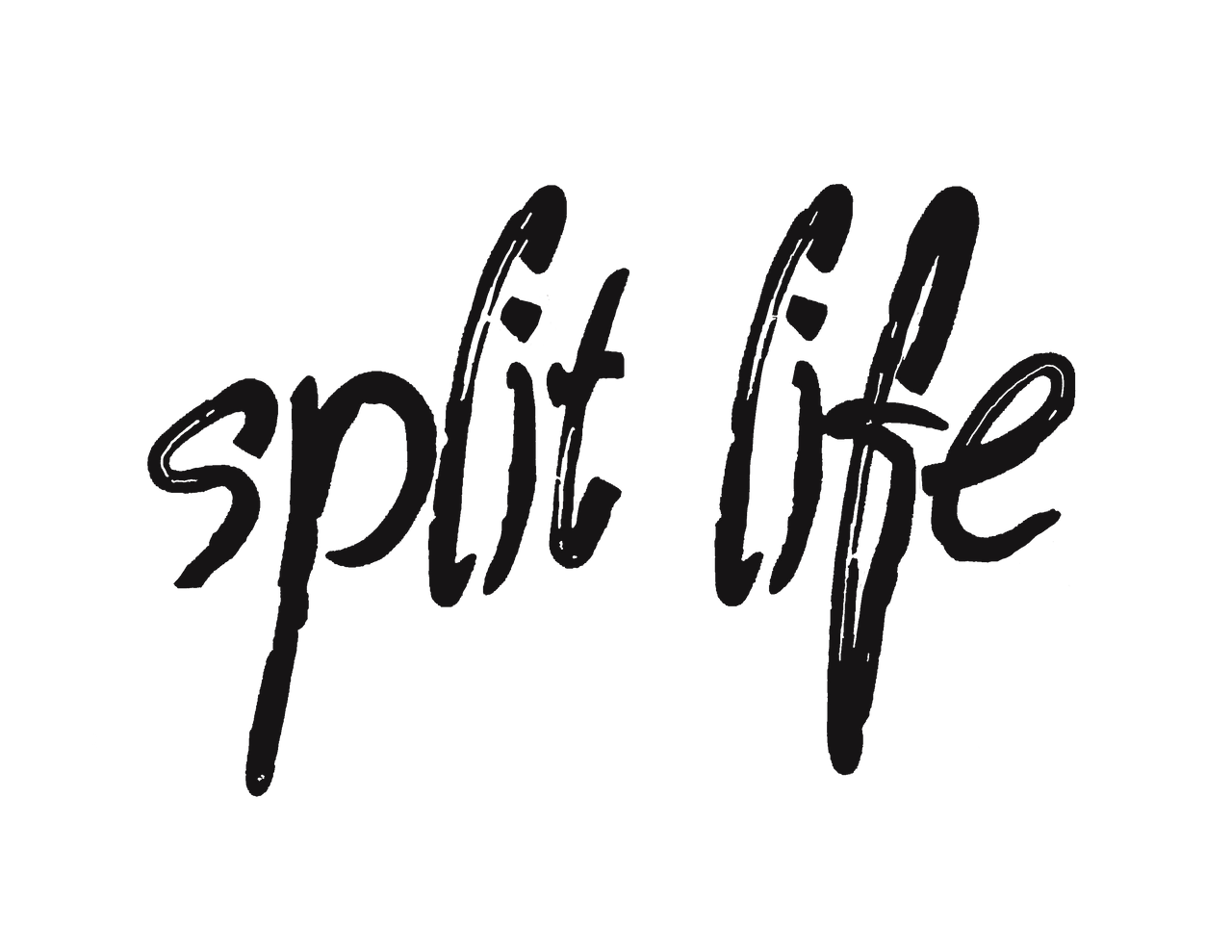 Split Life